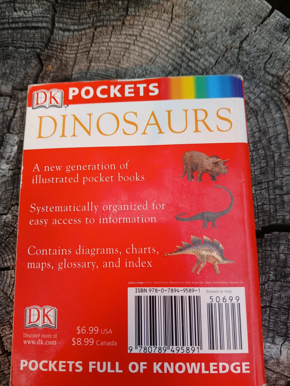 Kids Educational Bundle - 2 Dinosaur Books & Spelling Bee Flash Cards
